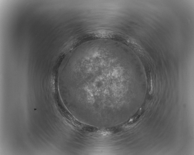 X0000074960696200609152057