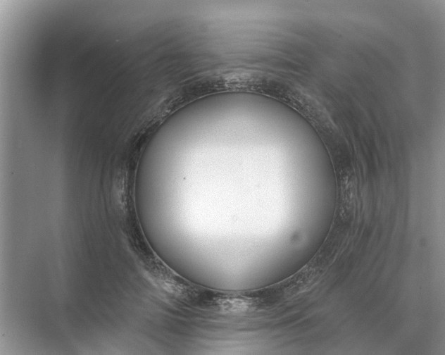 X0000074960698200609152057