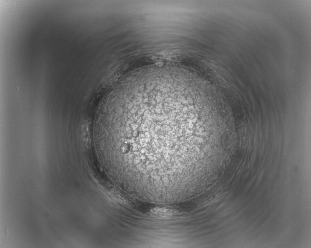 X0000074960699200609152057