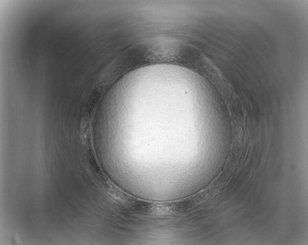 X0000074960701200609152057