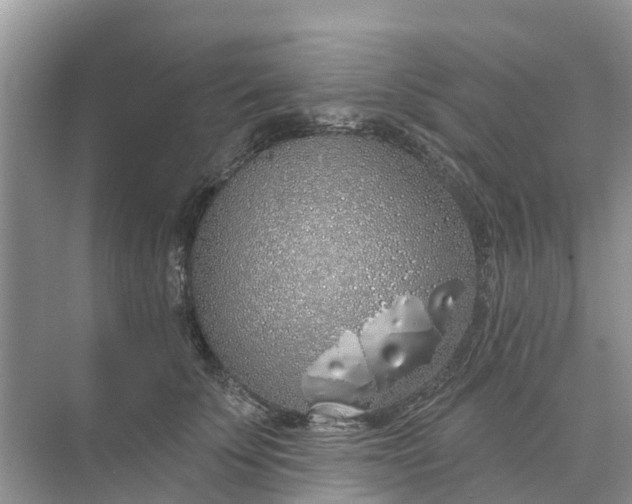 X0000074960707200609152057