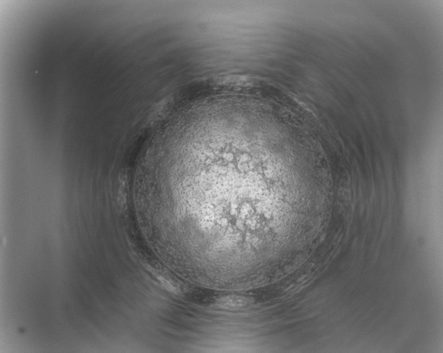 X0000074960708200609152056