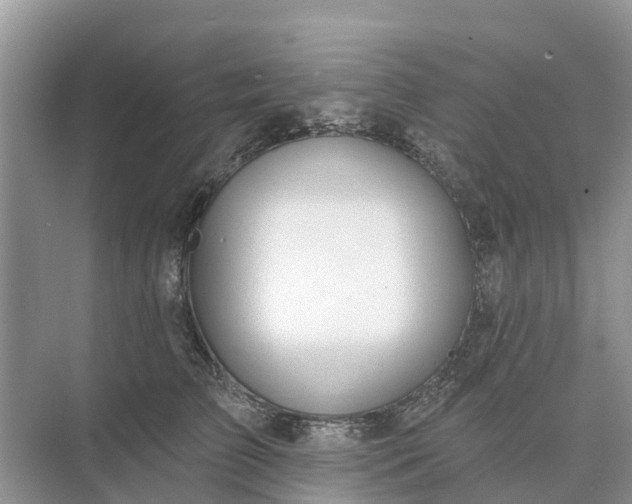 X0000074960709200609152056