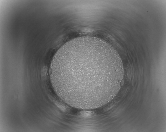 X0000074960711200609152056