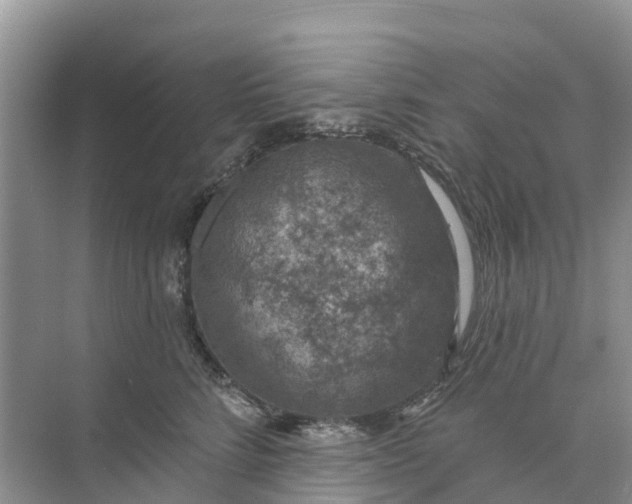 X0000074960712200609152056