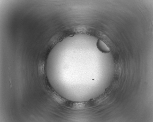 X0000074960717200609152056