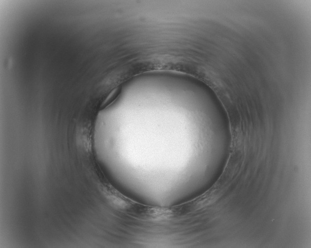 X0000074960719200609152056