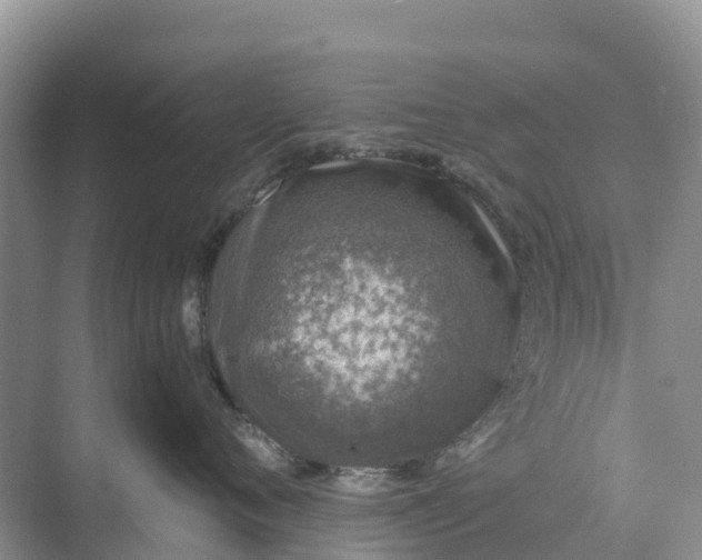 X0000074960720200609152056