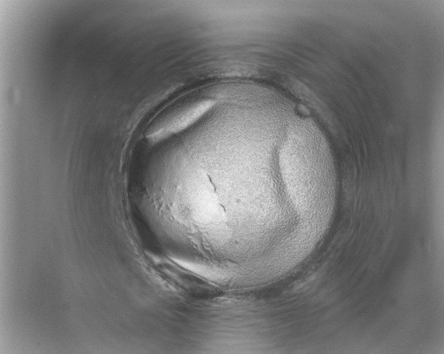 X0000074960721200609152055