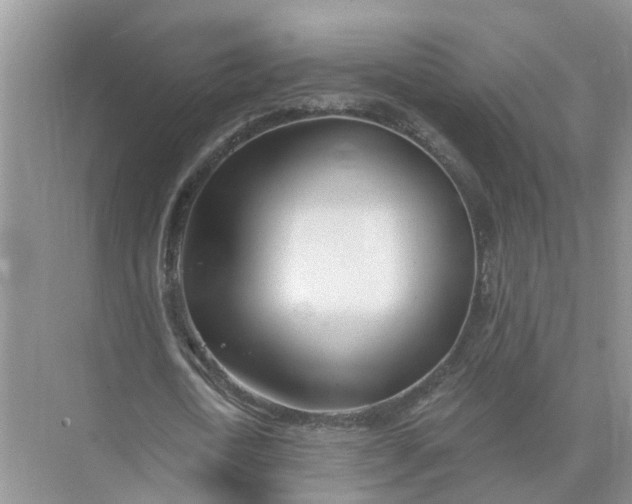 X0000074960722200609152056