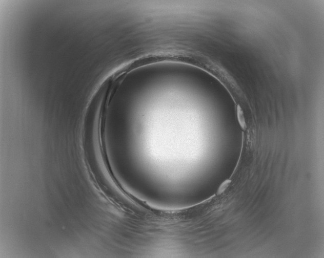 X0000074960724200609152056