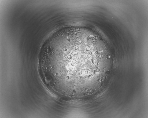 X0000074960725200609152056