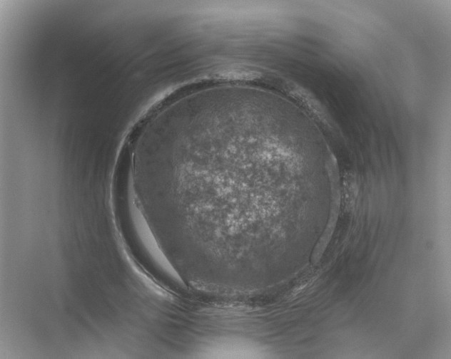 X0000074960726200609152056