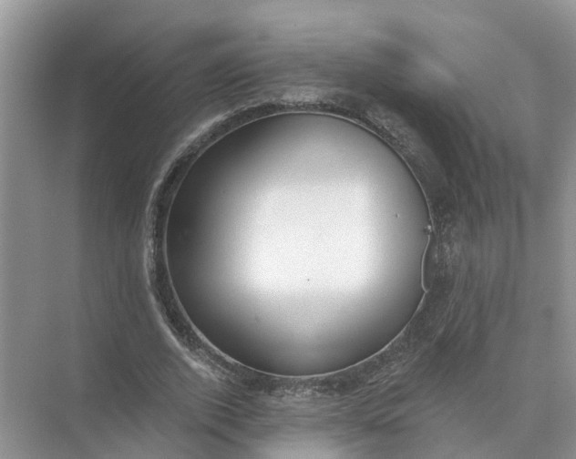 X0000074960728200609152056