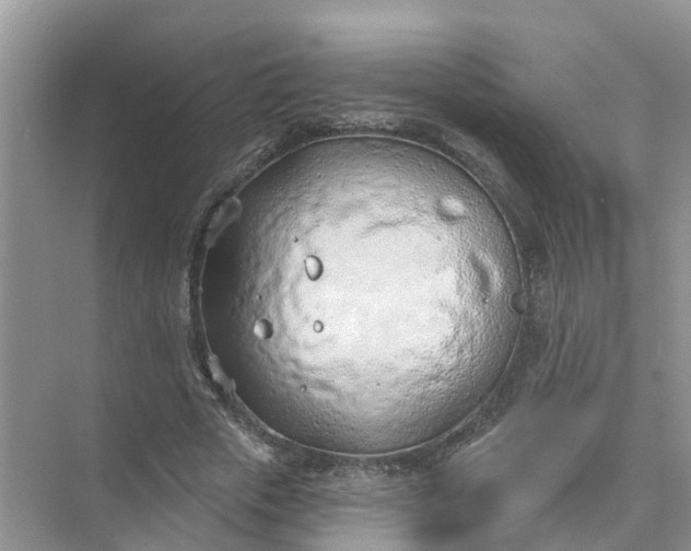 X0000074960729200609152056