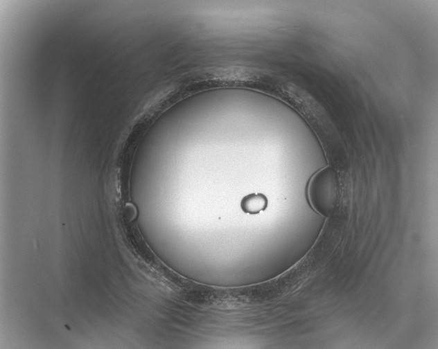 X0000074960731200609152056