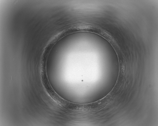 X0000074960732200609152056