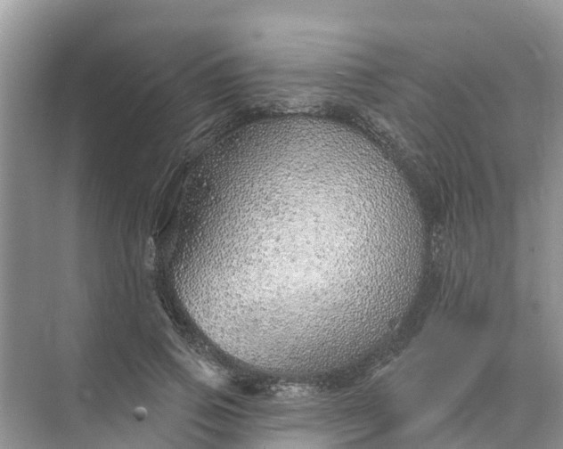 X0000074960741200609152056