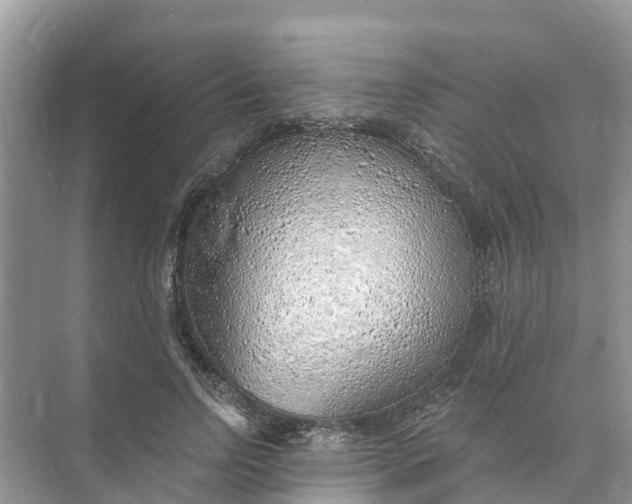 X0000074960742200609152056