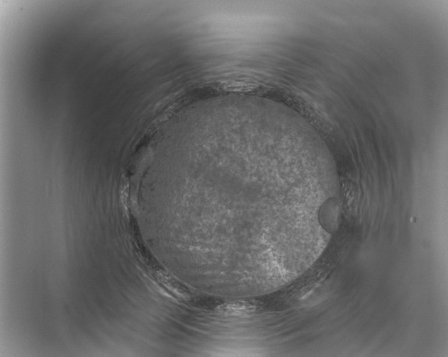 X0000074960745200609152056