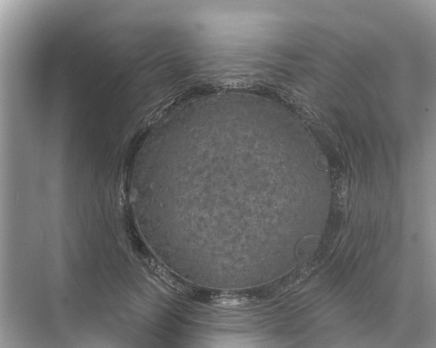 X0000074960746200609152056