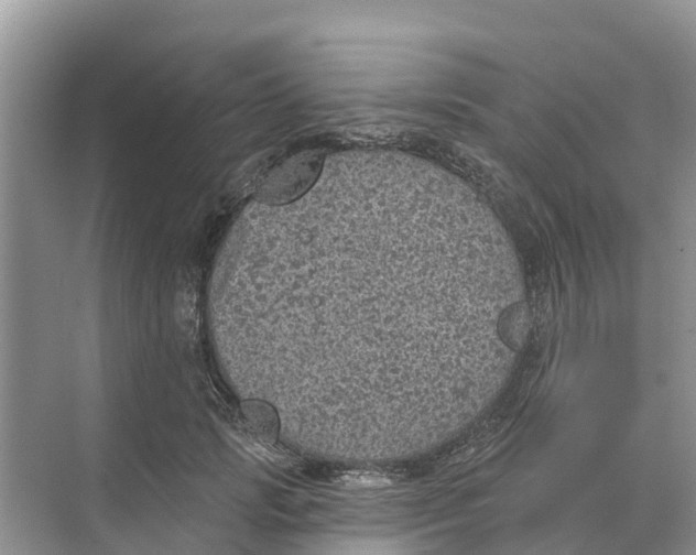 X0000074960749200609152056