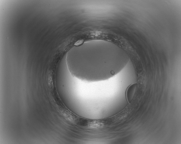 X0000074960754200609152056