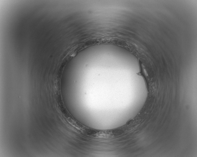 X0000074960756200609152056