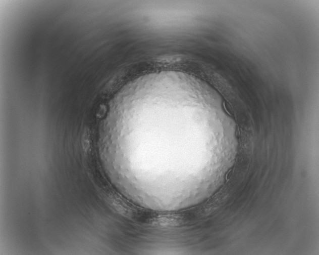 X0000074960758200609152056