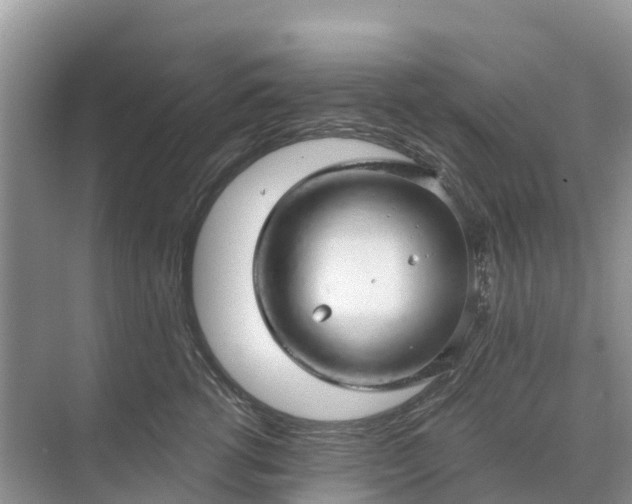 X0000074960762200609152056