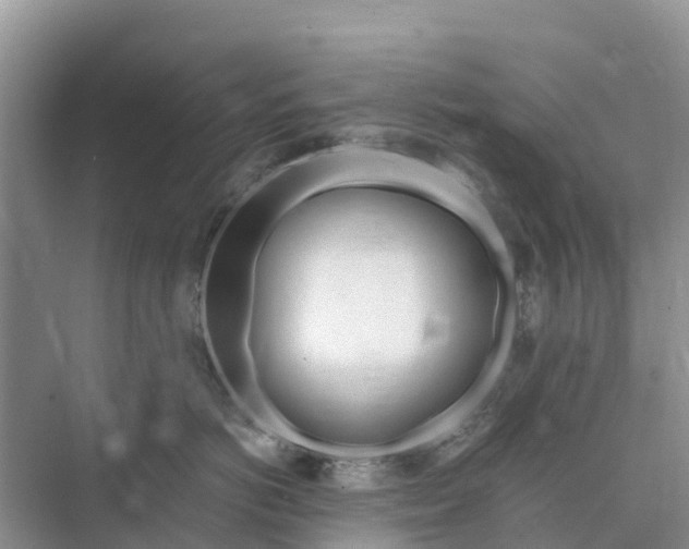 X0000074960766200609152056