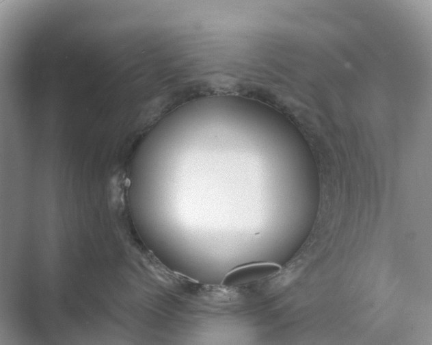 X0000074960768200609152056