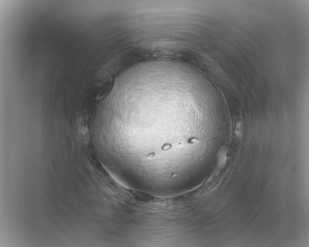 X0000074960771200609152055