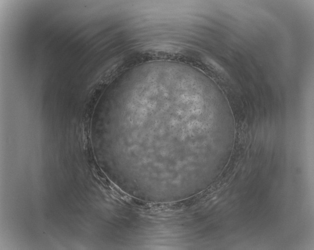 X0000074960774200609152055