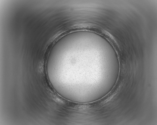 X0000074960778200609152055