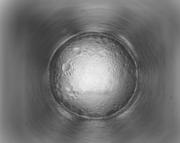 X0000074960779200609152055