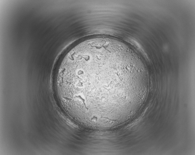 X0000074960780200609152055