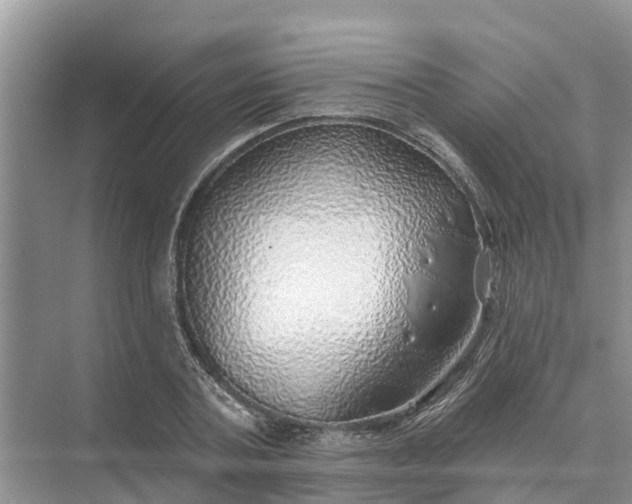 X0000074960787200609152055