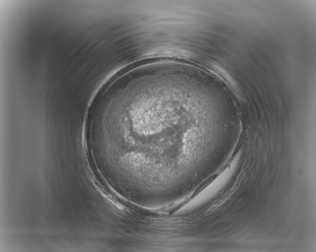 X0000074960788200609152055