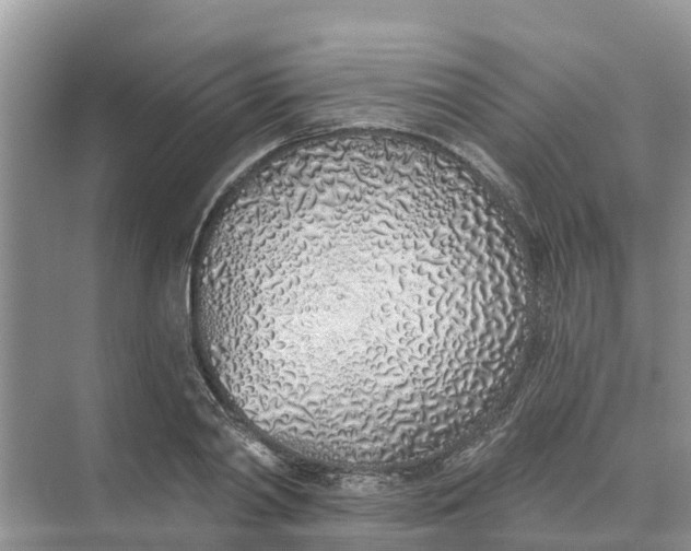 X0000074960790200609152055