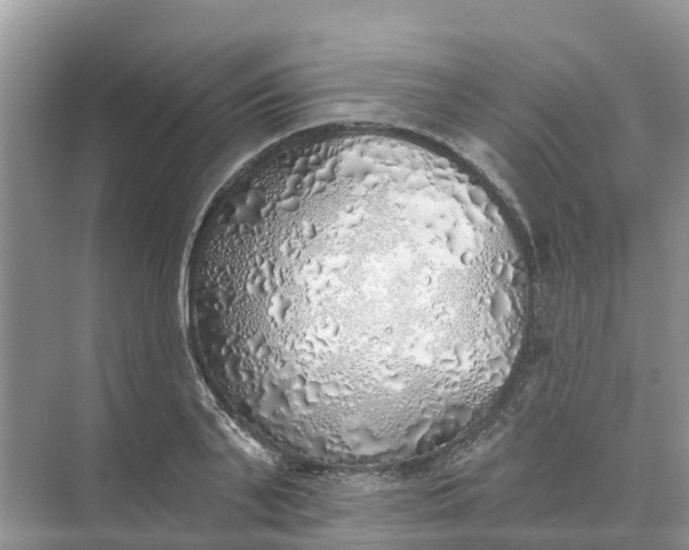 X0000074960791200609152055