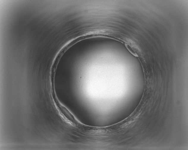 X0000074960792200609152055