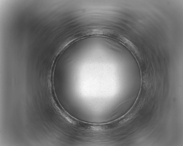 X0000074960794200609152055