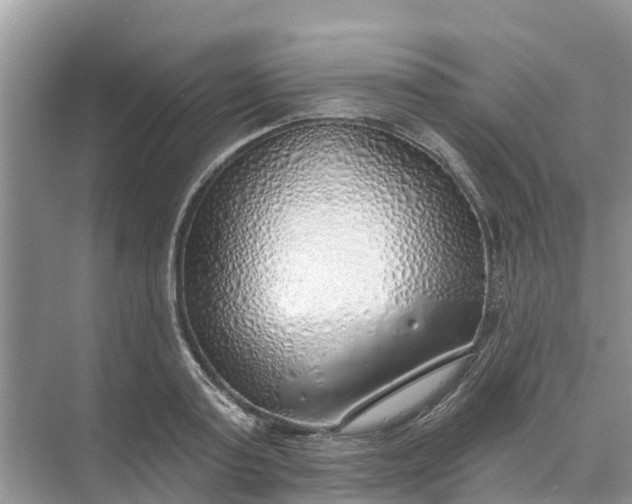 X0000074960795200609152055