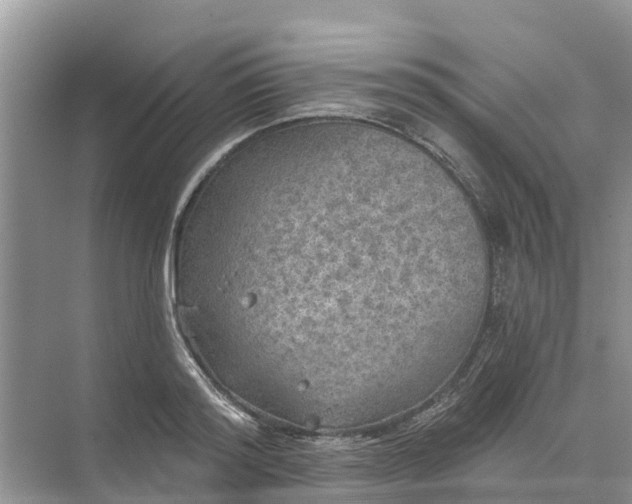 X0000074960796200609152055