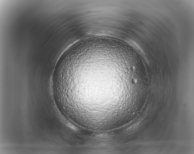 X0000074960798200609152055