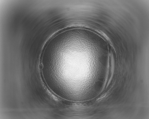 X0000074960799200609152055