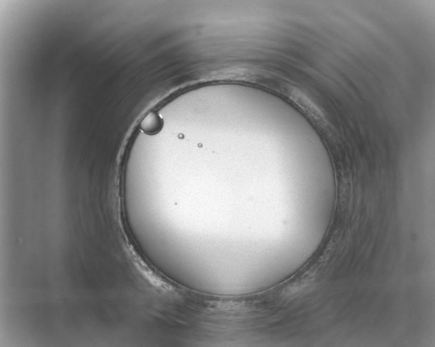 X0000074960800200609152055