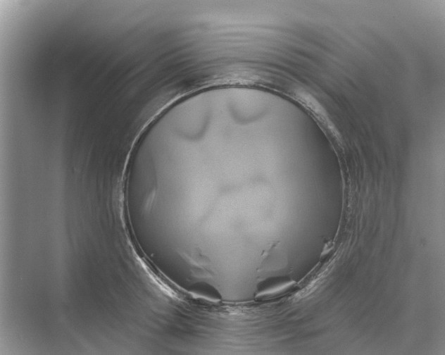 X0000074960802200609152055