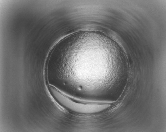 X0000074960803200609152055